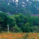 갈담1리 이미지