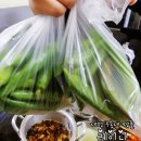 자연석불판대박집 | 충남금산맛집 삼겹살을 청어알젓과 와사비에 찍어먹는 식당 [대박집]