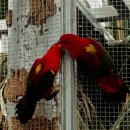 경주버드파크 이미지