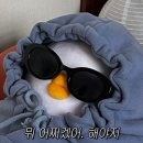 정보처리기사 실기1 이미지