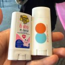 송지호 자전거대여소 | 고성 서핑 후기 송지호해수욕장 삼일절 연휴 파도차트 체크