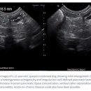 기장i동물의료센터 이미지