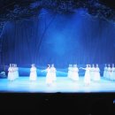 광주시립발레단 제135회 정기공연 이미지