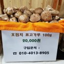 호접치자연팜 이미지