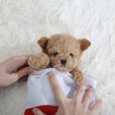 키즈멍 안양본점 이미지