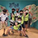 부인초등학교+초록나무+아리솔유치원 이미지