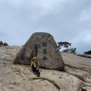 11545-05-31-07 | 관악산(낙성대능선-사당능선-학바위능선) 산행후기
