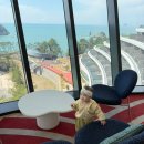 피그 패밀리 이미지