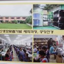 신생모