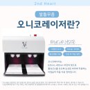 일월로22번길 네이버블로그