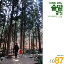 겸백면사무소 | [캠핑87회] 전남 보성군 겸백면 솔밭공원 2박2일 솔숲에 빠지다 [캠핑후기]