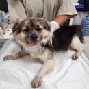 롯데리아내수점 이미지