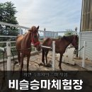 비슬 승마체험장 이미지
