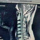 코뿔소 마취통증의학과 의원 이미지
