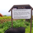 돼지문화원정원 네이버블로그