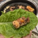 고기사랑 이미지