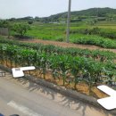 군남면-1 이미지