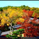 금정-1 이미지