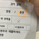 코끼리휴병원 이미지