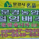 싱싱와글와글 - 9886 | 싱싱와글와글