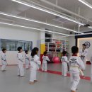 경희대 에이스 태권도장 이미지