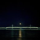 민락어민활어직판장 | 부산 / 광안리 / 민락어민활어직판장 / 유성호