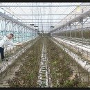 김재민농장 이미지