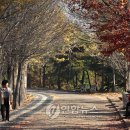 침산공원(C) 이미지