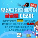 다모아라이브