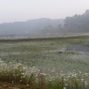 새벽수라상 이미지