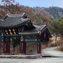 곡성-205 티스토리