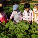 해맑음농장 이미지