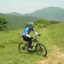 일광목장 이미지