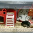 나에게 온날 이미지