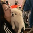 씨유 연희계명공원점 | 초록을거머쥔우리는