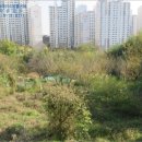 럭키아파트 버스승강장 이미지