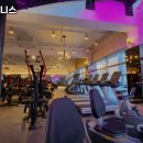 캐리비안 휘트니스 이미지