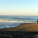 나곡해수욕장 이미지