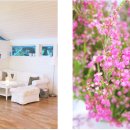 화이트라이프 이미지