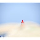 바다이야기 이미지