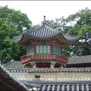 담 Daum카페