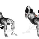 V10휘트니스 이미지