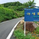 아름다운펜션민박 이미지