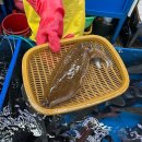 해성상회 이미지