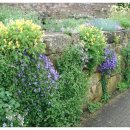 근화축산 이미지