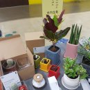 새서울프라자 이미지