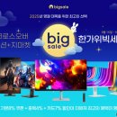 빅세일 이미지