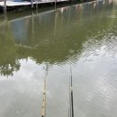 은행리낚시터 이미지