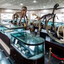 사립강원종합박물관 이미지