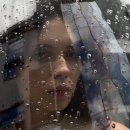 직물에 관한 것(S 이미지